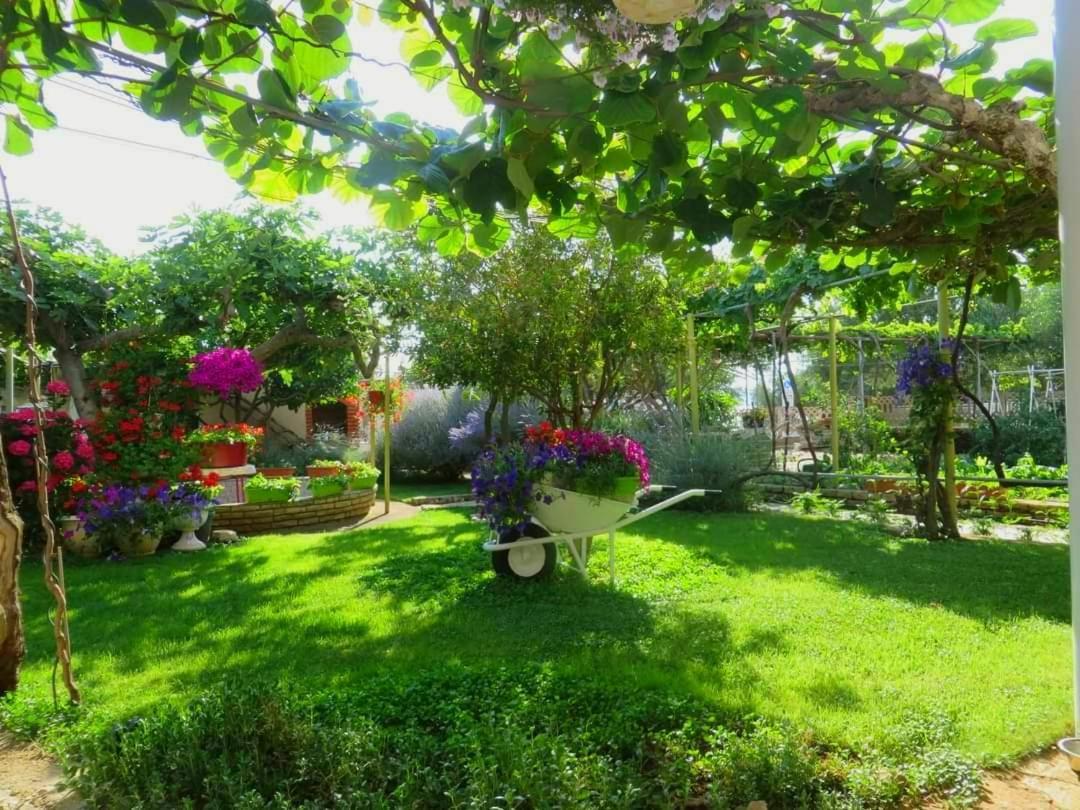 Beach Apartment Roza Biograd Oneroom - Premium Location Biograd Na Moru Exterior photo
