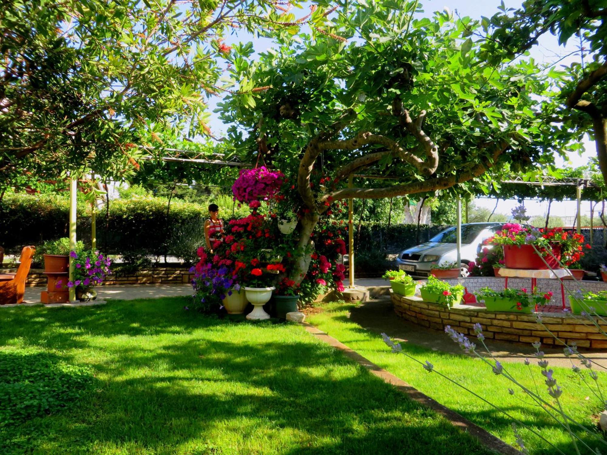 Beach Apartment Roza Biograd Oneroom - Premium Location Biograd Na Moru Exterior photo